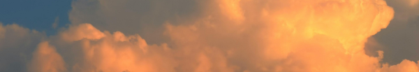 Air Pollution (3)