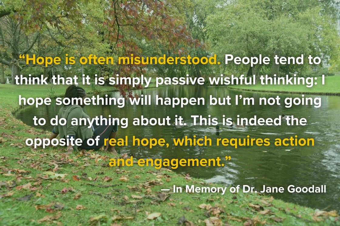 October NL Quote Yellow