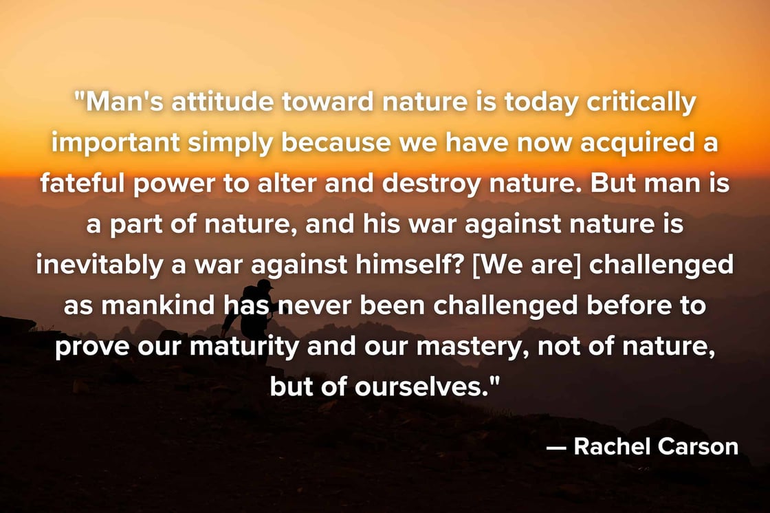 Rachel Carson Quote
