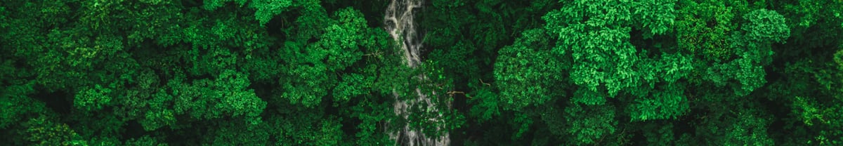 alonso-reyes-544DkFtompA-unsplash