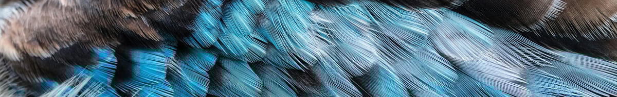 david-clode-8mNiu61GCb0-unsplash cropped