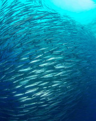 getty-images-SnOUybPNM3o-unsplash-1