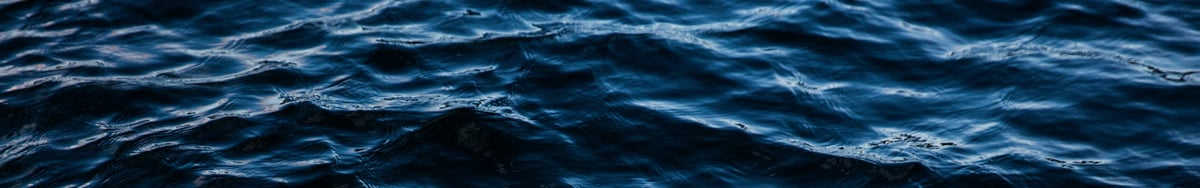 joshua-earle-TA6F3MVTNxE-unsplash