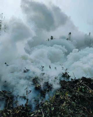 prenatal exposure (1)