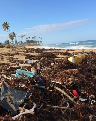 wastewater article-1